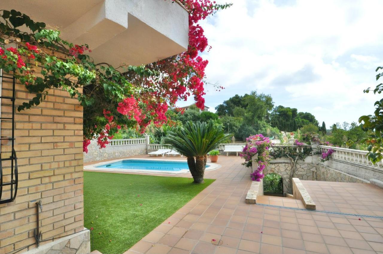 Dolcedo Chalet